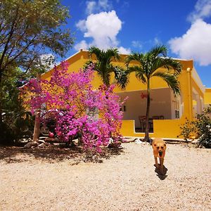 Roadrunner-Bonaire Villa Кралендижк Exterior photo