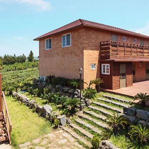 Jeju Hanibaram Pension Villa Exterior photo