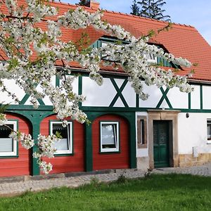 Ferienwohnung Zittauer Gebirge Курорт Юнсдорф Exterior photo