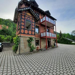 Ferienwohnung Villa Frosch Майнинген Exterior photo