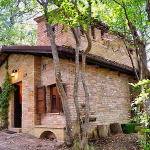 Chalet Nel Bosco Sarnano Villa Exterior photo