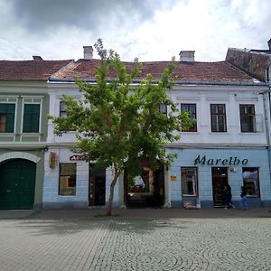 Lionas Central Apartment Bistriţa Exterior photo