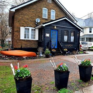 Blue Spruce B&B Muskoka Грейвънхърст Exterior photo