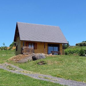 Chalet Sancy Villa Saint-Genès-Champespe Exterior photo