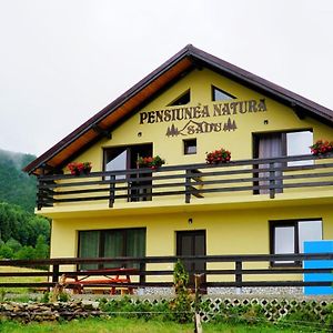 Pensiunea Natura Sadu Сибиу Exterior photo