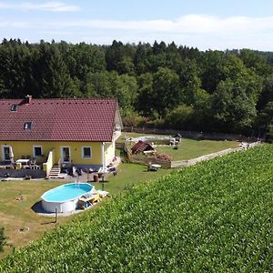 Haus Sonberg Mit Garten, Pool, Fasssauna, Semi Detached House With Garden Apartment Дойчландсберг Exterior photo