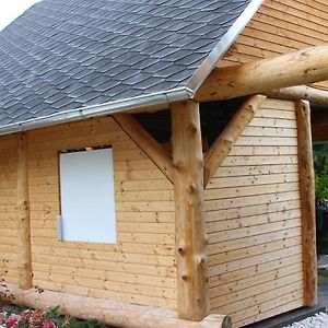 Ferienwohnung Loeffler Nassau-Erzgebirge Frauenstein  Exterior photo