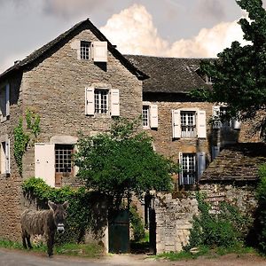 Maison D'Hotes La Singuliere Bed & Breakfast Sévérac-le-Château Exterior photo