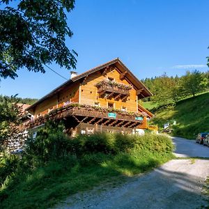 Almbauer Morgenbesser Apartment Trattenbach  Exterior photo