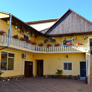 Pensiunea Alexander Hotel Арад Exterior photo