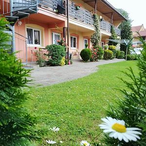 Penzion Areal Zamma Hotel Rožňava Exterior photo