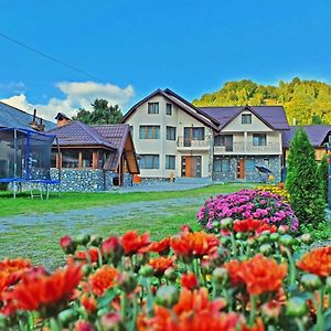 Pensiunea Dorul De Munte Nr 222 Hotel Rucăr Exterior photo