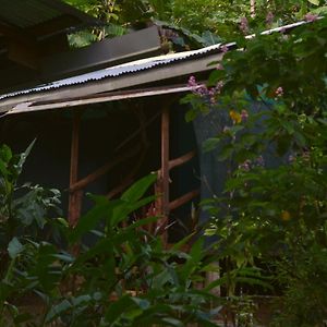 Corcovado Guide House Hotel Barrigones Exterior photo