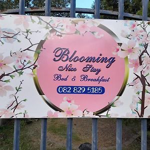 Blooming Nice Stay Харисмит Exterior photo