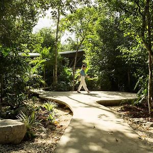 Zen Canto Villa Nupul :: New Exclusive Jungle Home :: Тулум Exterior photo