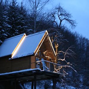 Ski Tree House - Tara Place Villa Мойковац Exterior photo