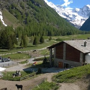 La Ferme Du Grand Paradis Villa Когне Exterior photo