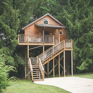 Lofty Willows Treehouse By Amish Country Lodging Милърсбърг Exterior photo