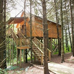 Whispering Pines Treehouse By Amish Country Lodging Villa Милърсбърг Exterior photo