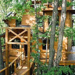 Treehouse #2 By Amish Country Lodging Villa Милърсбърг Exterior photo