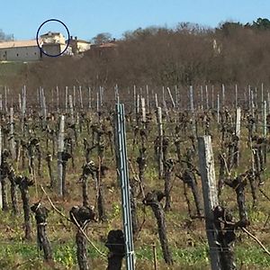 Superbe Gite A La Campagne Dans Le Bordelais Apartment Saint-Vivien-de-Blaye Exterior photo