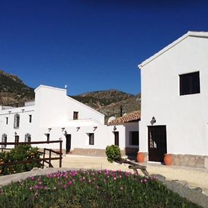 Cortijo Mariposa. Independent Two Bedroomed Holiday Home Албокс Exterior photo