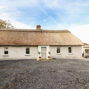 New Thatch Farm Villa Knocklong Exterior photo