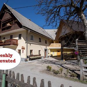 Farmhouse Pri Miklavu Villa Бохин Exterior photo