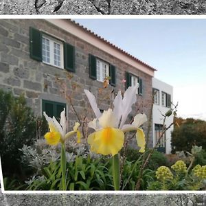 Belo Campo - Ilha Do Faial Hotel Castelo Branco  Exterior photo