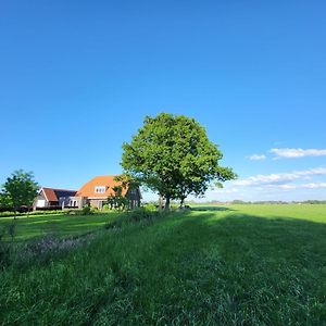 Bed & Breakfast De Vink Bed & Breakfast Terschuur Exterior photo