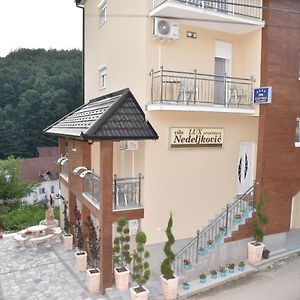 Vila Lux Nedeljkovic Gornja Trepca Apartment Čačak Exterior photo