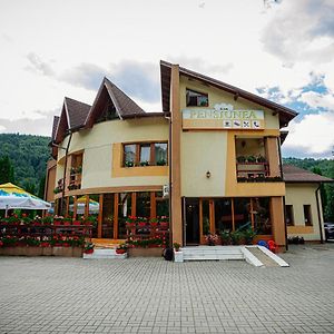 Pensiunea Floare De Colt Hotel Dragoslavele Exterior photo