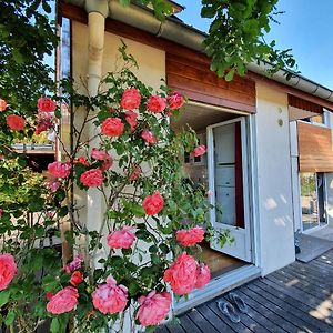 Terrasses Du Zimmerberg Apartment Бар Exterior photo