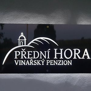 Vinarsky Penzion Predni Hora Velké Bílovice Exterior photo