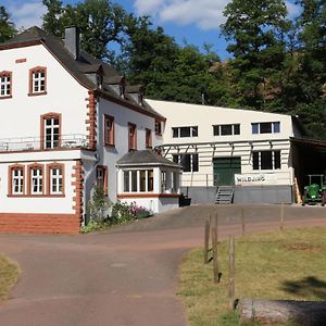 Gaestehaus Herrenmuehle Apartment Freudenburg  Exterior photo