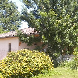 Maison De Vacances De Recailleau Villa Nérac Exterior photo