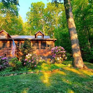 The Mountain Forager Cabin, Whitewater Rafting, Polar Express, Hot Tub, Home Gym, Smnp, Sm Railroad Брайсън Сити Exterior photo