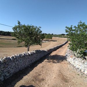 Masseria Catucci Agriturismo Алберобело Exterior photo