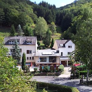 Ferien Und Selbstversorgerhaus Fuer Gruppen Sauerthaler Hof - Loreley Villa Exterior photo