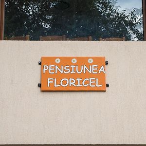 Pensiunea Floricel Hotel Stoeneşti Exterior photo