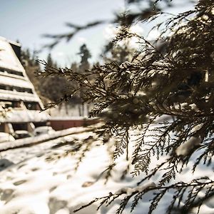 Хотел Мура Hotel Боровец Exterior photo