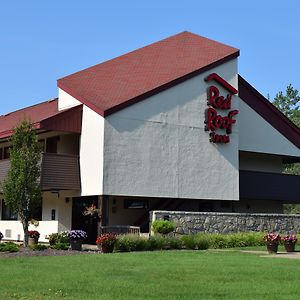 Red Roof Inn Buffalo - Niagara Airport Уилямсвил Exterior photo