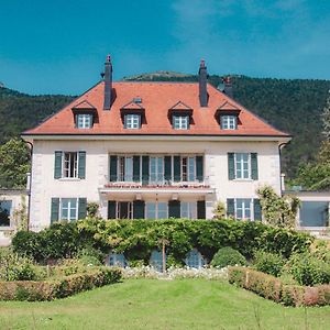 Chateau D'Echenevex - Luxury Escape Near Geneva Villa Exterior photo