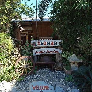Reddoorz Hostel @ Deomar Hometel & Farm Cafe Ilocos Sur Bantaoay Exterior photo