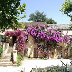 Domaine De Valle Bed & Breakfast Sorbo-Ocagnano Exterior photo