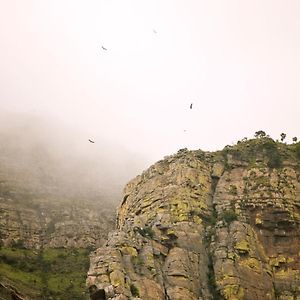 Cape Vulture Conservancy Ходспруит Exterior photo