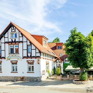 Gasthof Und Pension Frankenthal - Garni Hotel Гера Exterior photo