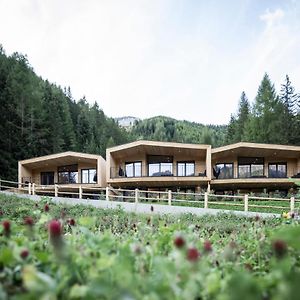 Stelza Nature Chalet Вал ди Вице Exterior photo