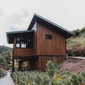 Lauraceas Lodge Сан Херардо де Дота Exterior photo