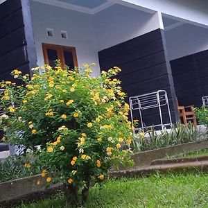 Anak Rinjani Guest House Сенару Exterior photo